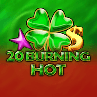 20 Burning Hot game screenshot